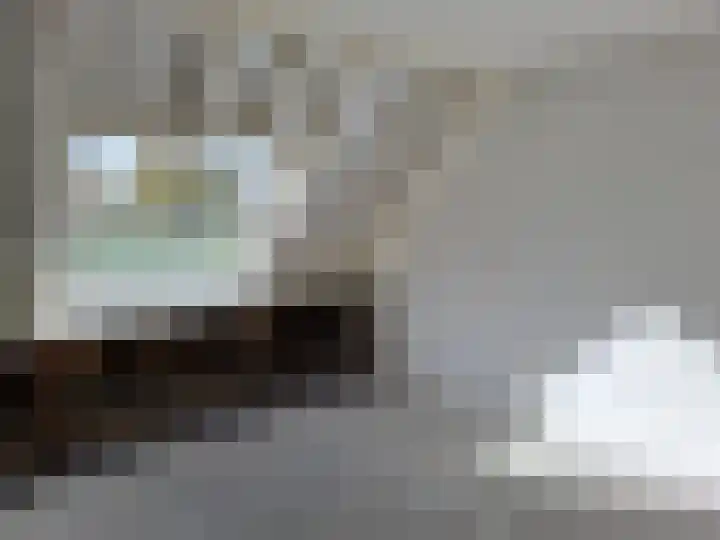 Majoraandonk 8 Spijkenisse thumbnail 9