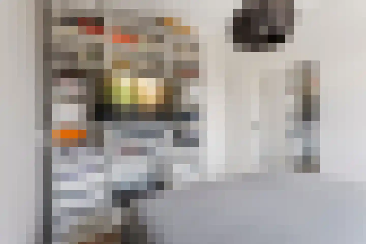 Makassarhof 10 Almere thumbnail 15