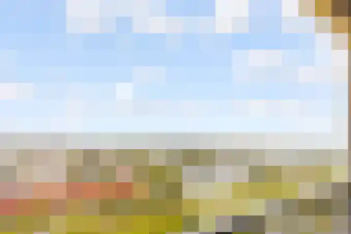 Makassarhof 120 Almere thumbnail 13