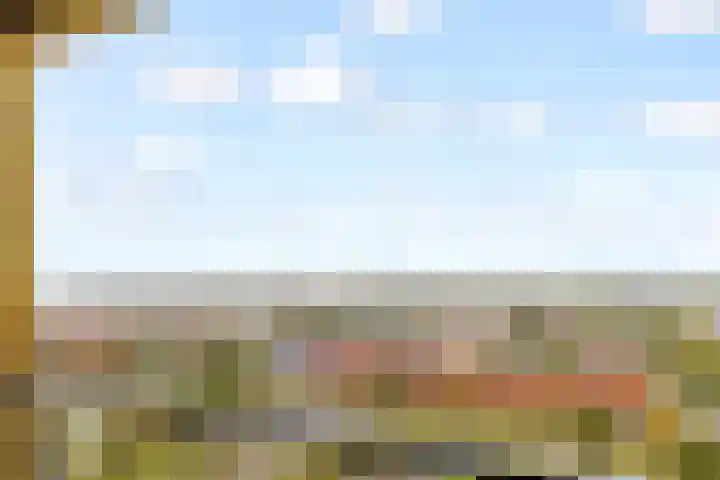 Makassarhof 120 Almere thumbnail 14