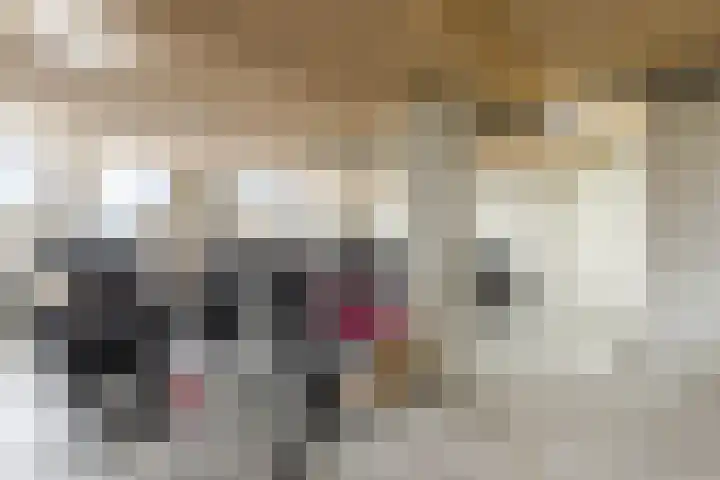 Makassarhof 120 Almere thumbnail 31