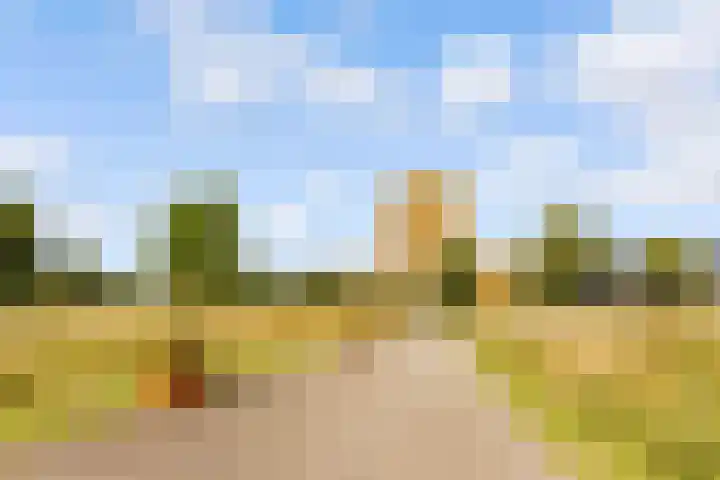 Makassarhof 120 Almere thumbnail 39