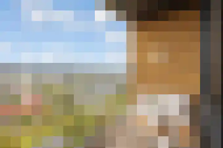 Makassarhof 120 Almere thumbnail 4