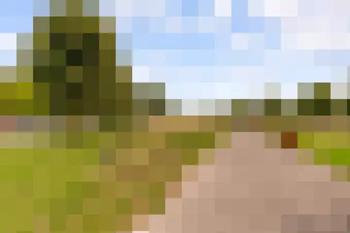 Makassarhof 120 Almere thumbnail 40
