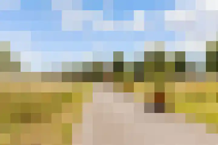 Makassarhof 120 Almere thumbnail 42