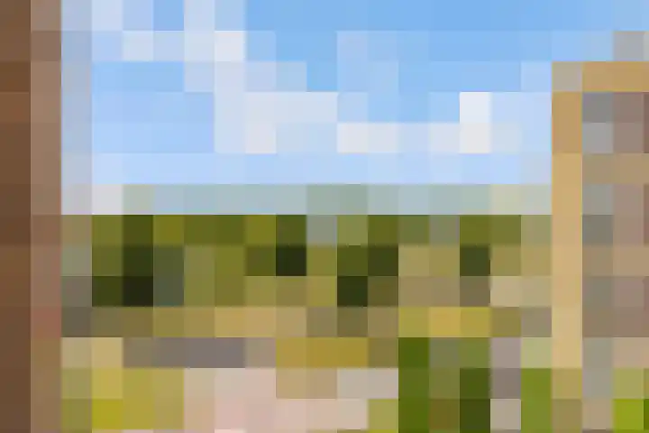 Makassarhof 52 Almere thumbnail 14
