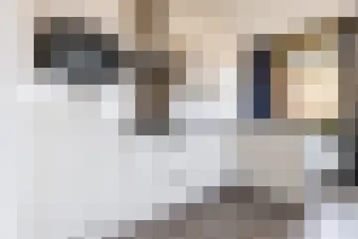 Makassarhof 52 Almere thumbnail 19