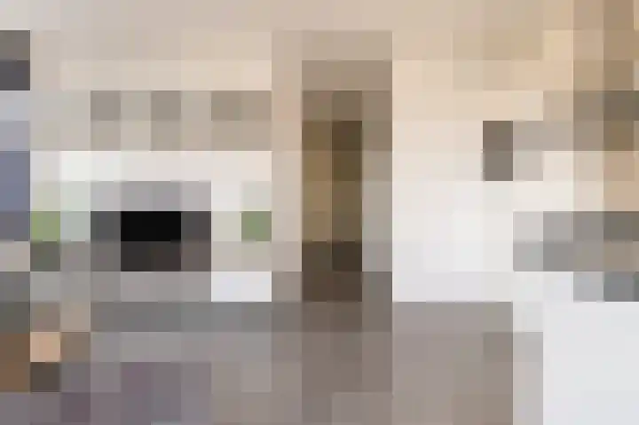 Makassarhof 52 Almere thumbnail 22