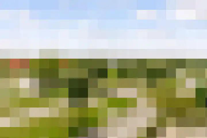 Makassarhof 58 Almere thumbnail 23