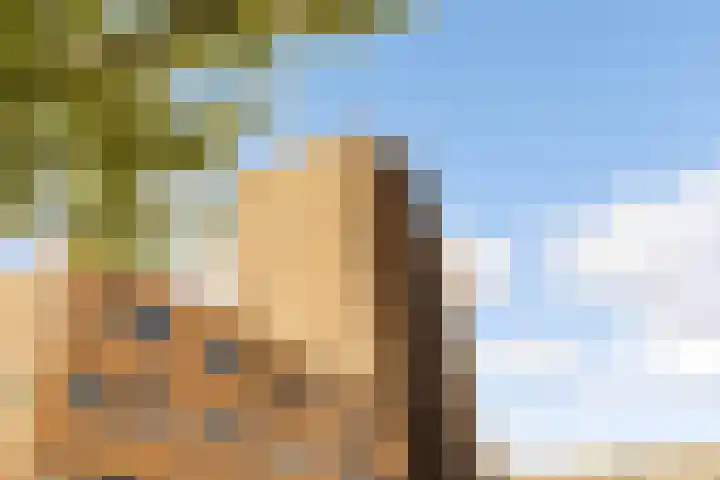 Makassarhof 58 Almere thumbnail 33