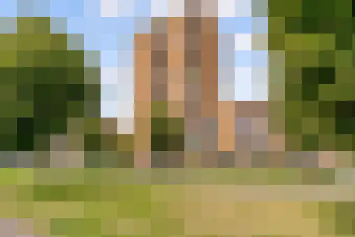 Makassarhof 58 Almere thumbnail 36