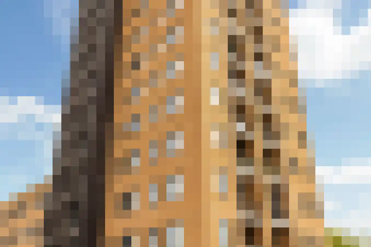 Makassarhof 60 Almere thumbnail 22