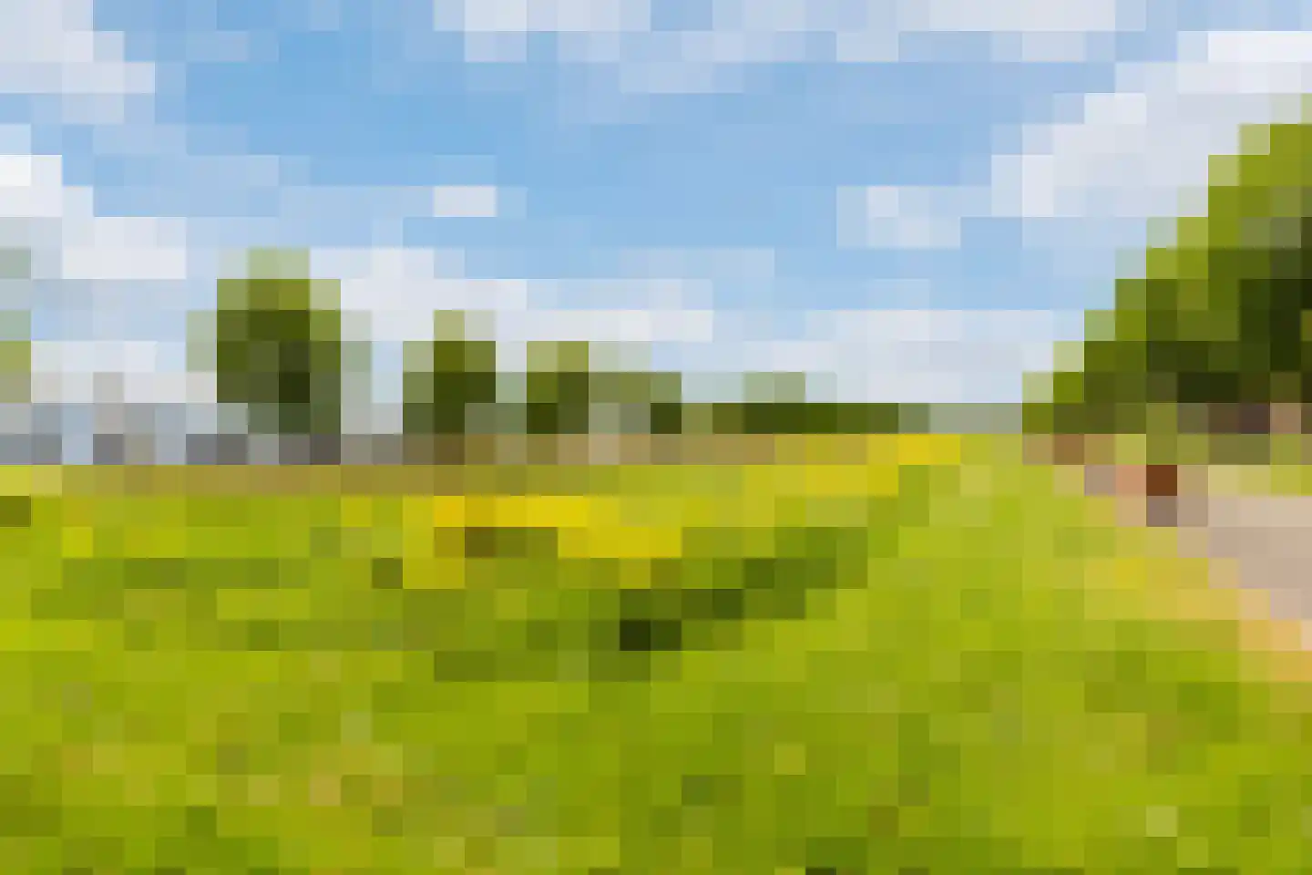 Makassarhof 60 Almere thumbnail 27