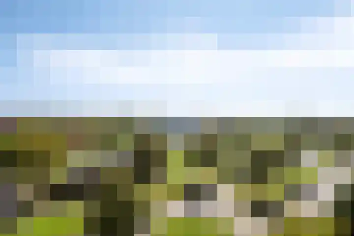 Makassarhof 66 Almere thumbnail 7