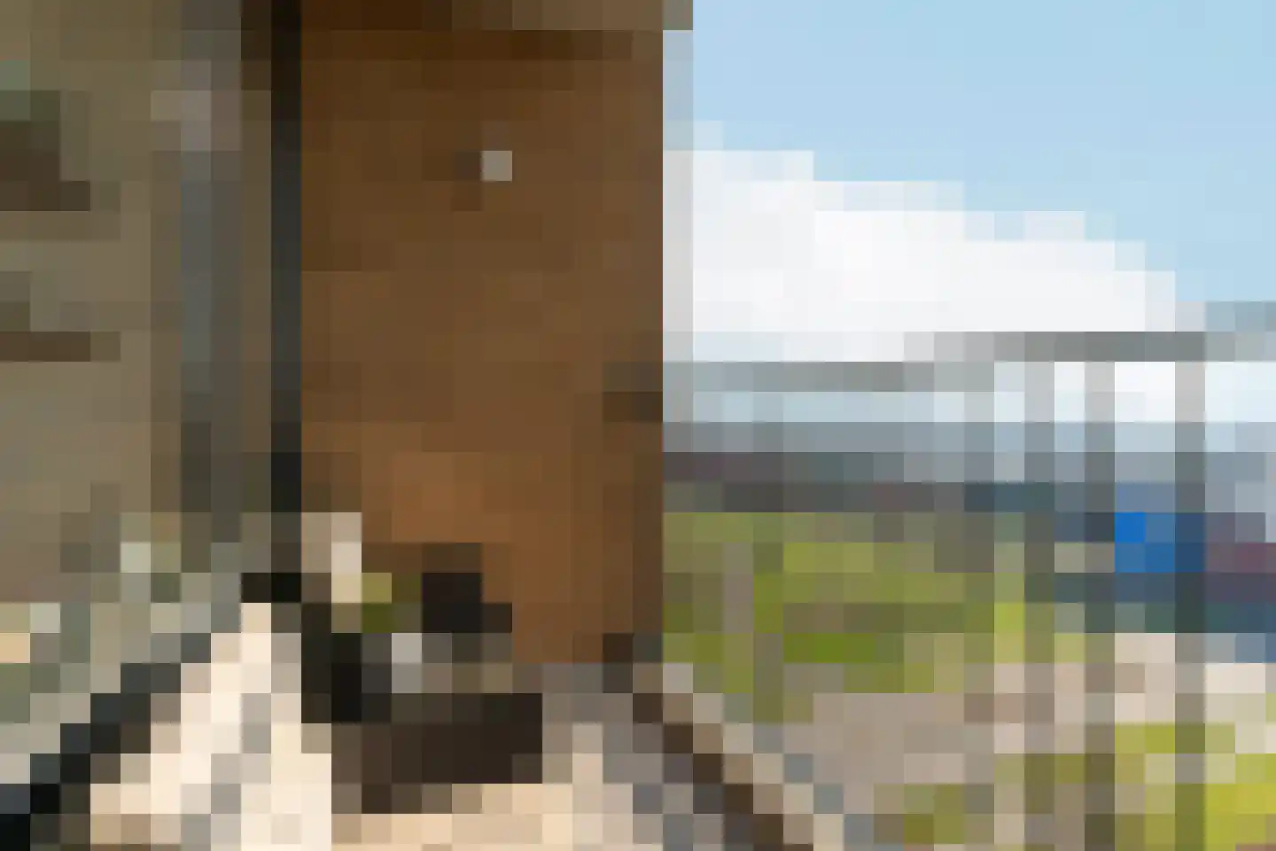Makassarhof 98 Almere thumbnail 13