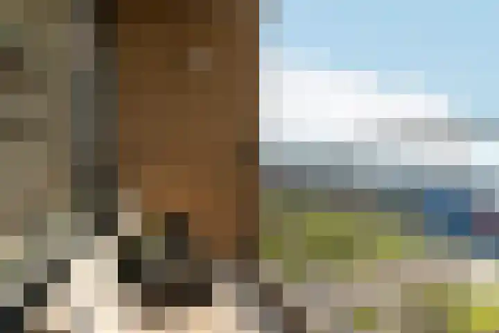 Makassarhof 98 Almere thumbnail 13