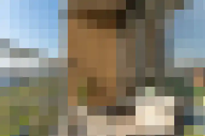 Makassarhof 98 Almere thumbnail 4