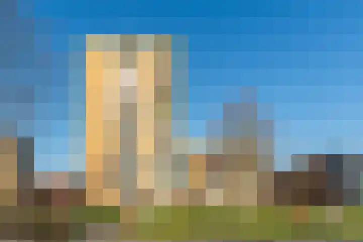 Makassarhof 98 Almere thumbnail 7