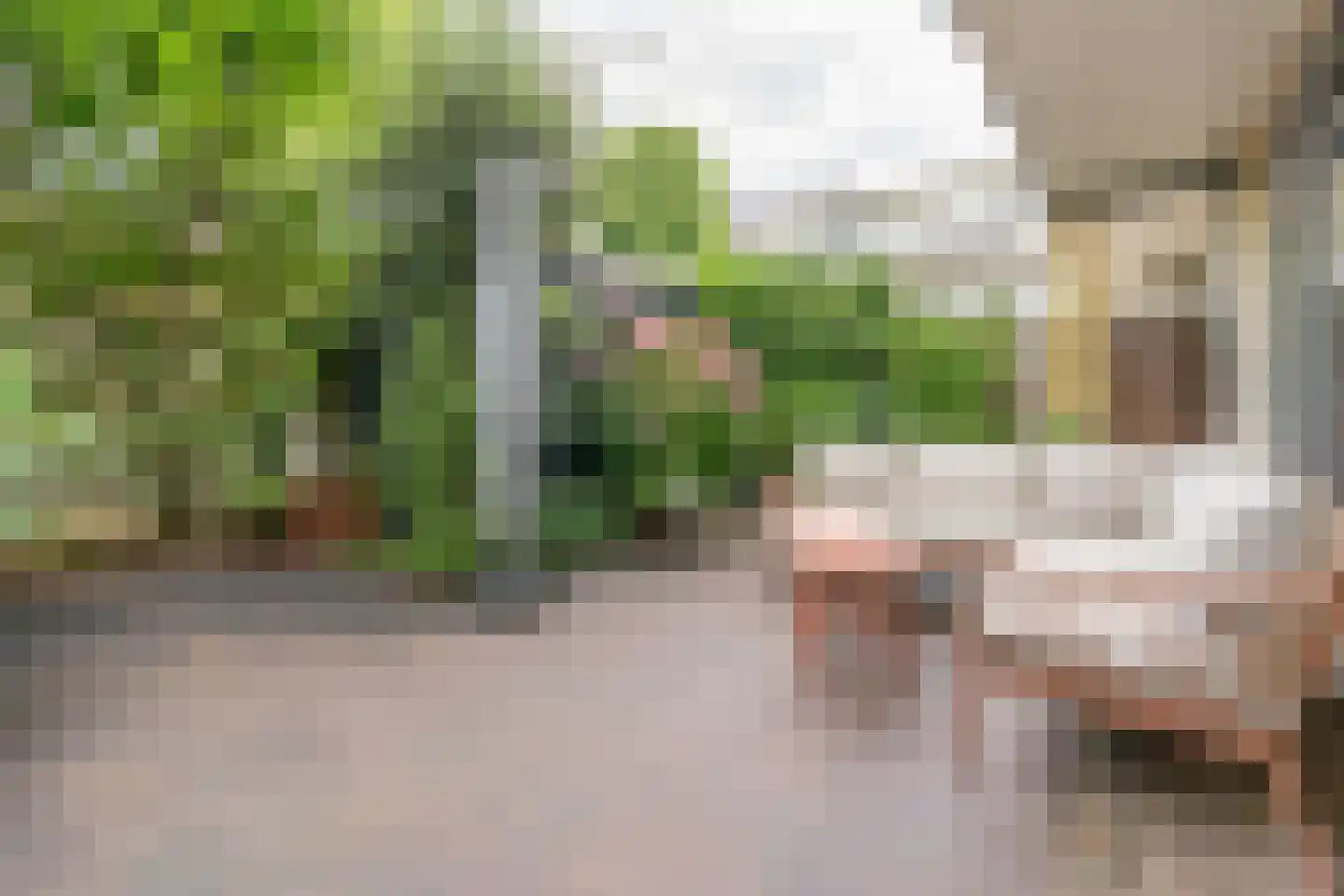 Makassarstraat 11 Utrecht thumbnail 28