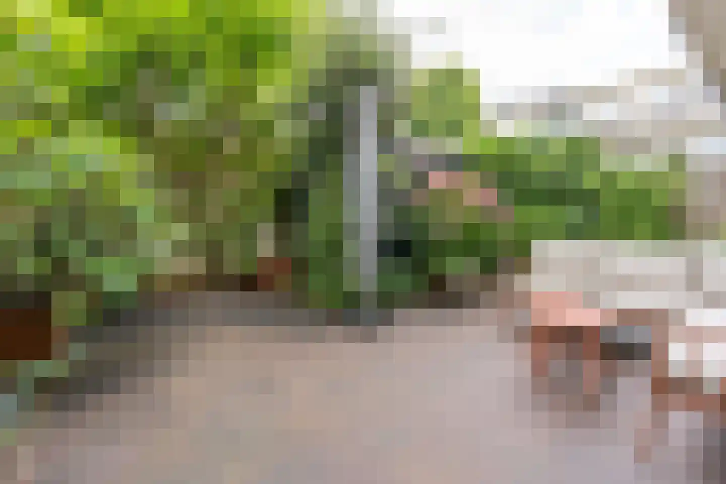 Makassarstraat 11 Utrecht thumbnail 4