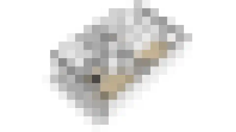 Makassarstraat 11 Utrecht thumbnail 51
