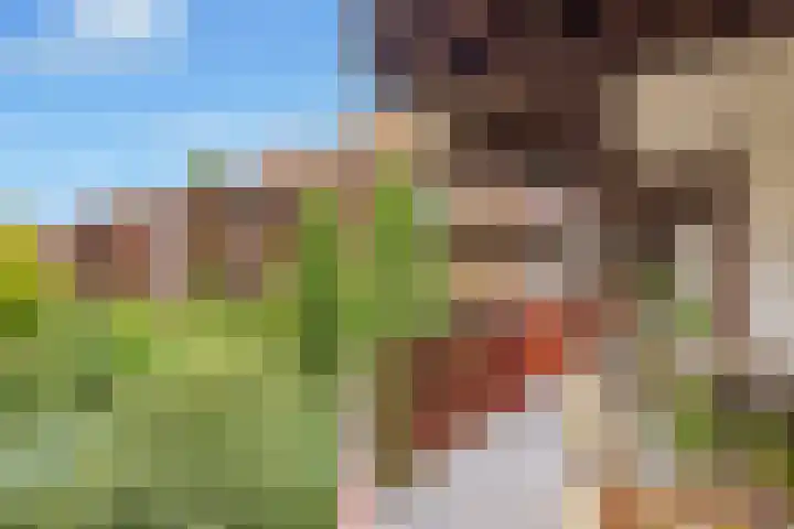 Makassarstraat 126 K Amsterdam thumbnail 15