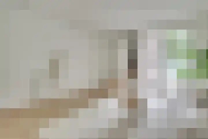 Makassarstraat 16 Utrecht thumbnail 10
