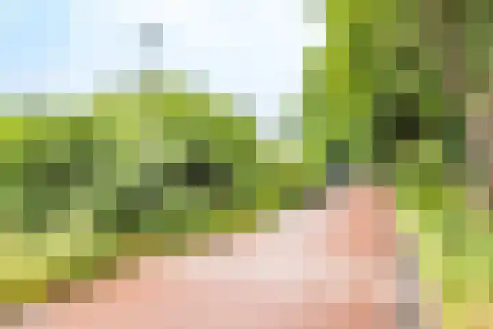 Makassarstraat 16 Utrecht thumbnail 37
