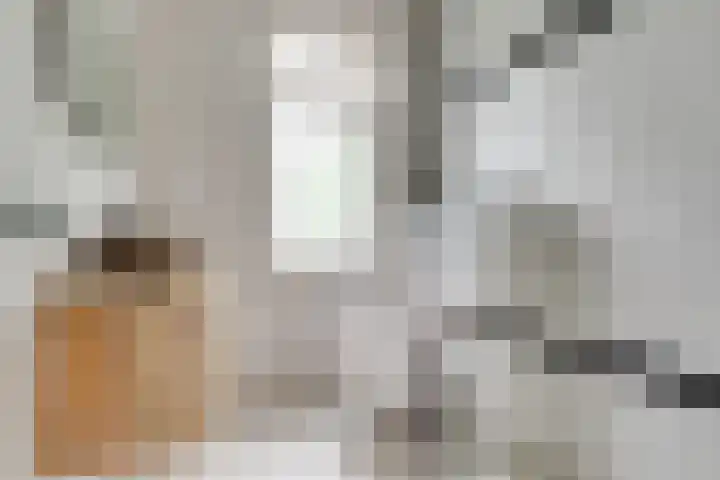 Makassarstraat 16 Utrecht thumbnail 4