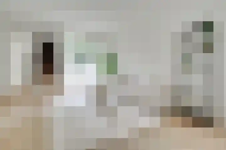 Makassarstraat 16 Utrecht thumbnail 6