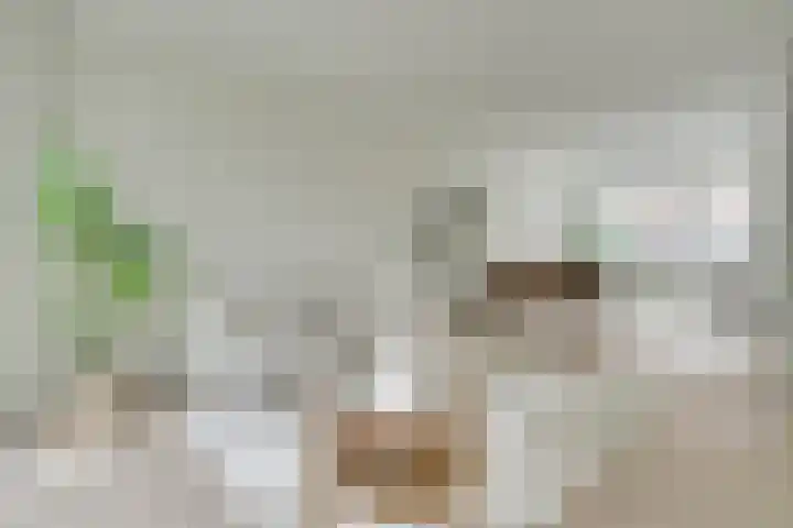 Makassarstraat 16 Utrecht thumbnail 7