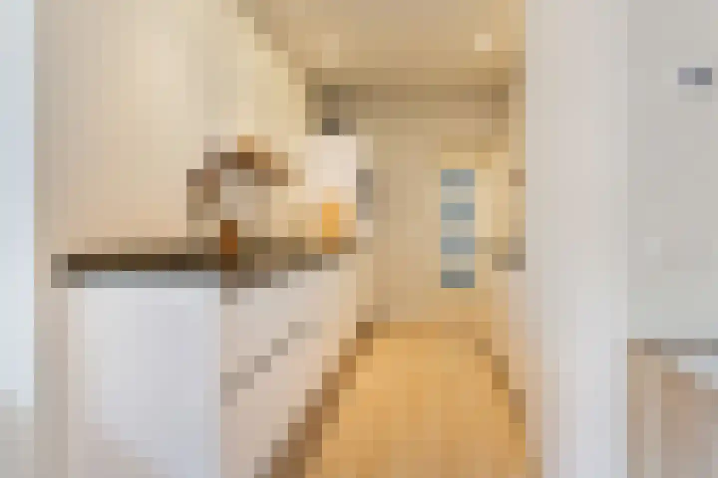 Makassarstraat 17 Utrecht thumbnail 14