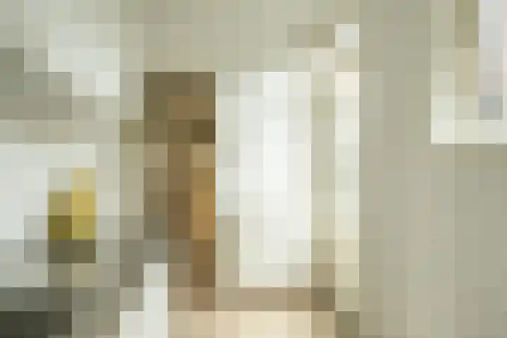 Makassarstraat 22 Utrecht thumbnail 18