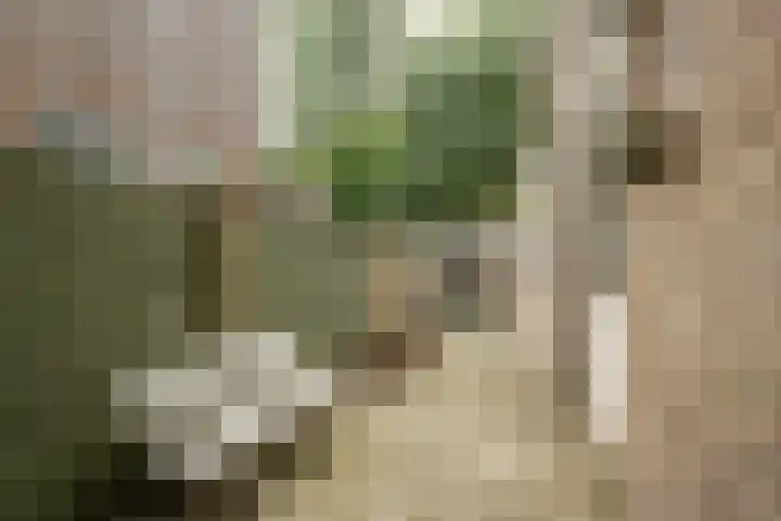 Makassarstraat 22 Utrecht thumbnail 23