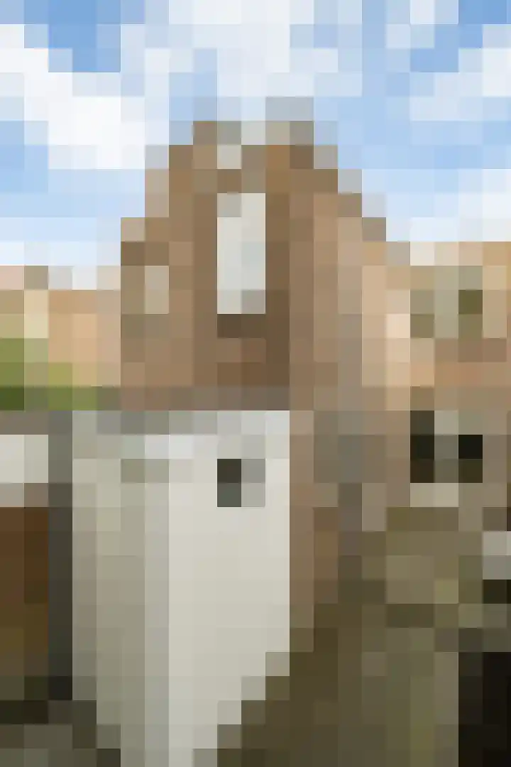 Makassarstraat 22 Utrecht thumbnail 28
