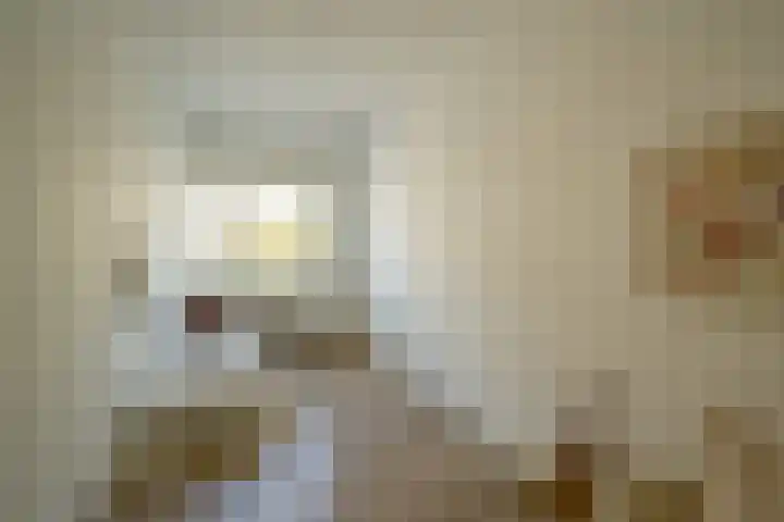 Makassarstraat 22 Utrecht thumbnail 35
