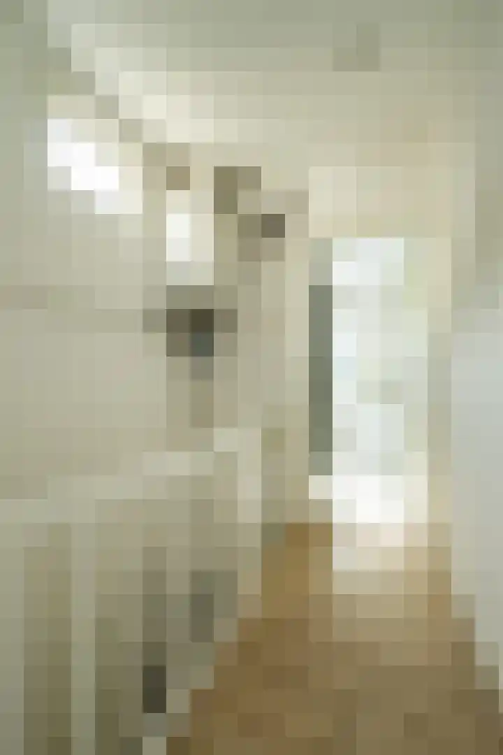 Makassarstraat 22 Utrecht thumbnail 37