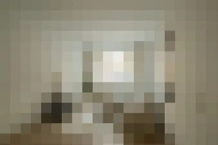 Makassarstraat 22 Utrecht thumbnail 8