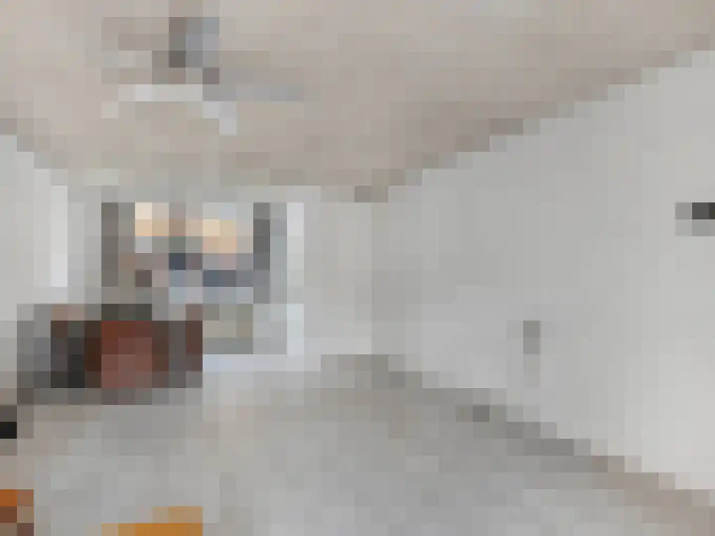 Makassarstraat 24 Utrecht thumbnail 15