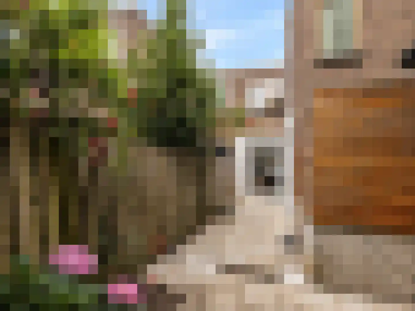 Makassarstraat 24 Utrecht thumbnail 20