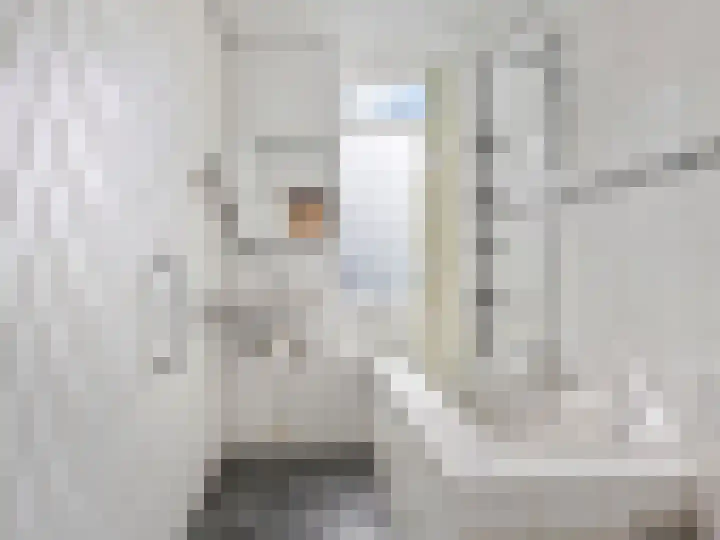 Makassarstraat 24 Utrecht thumbnail 27