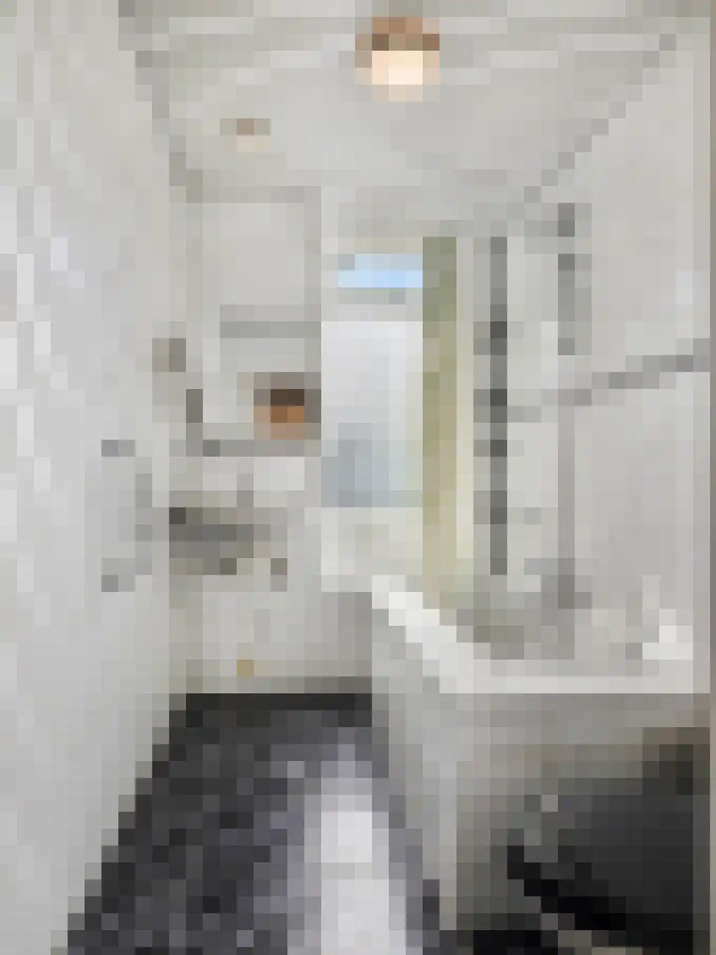 Makassarstraat 24 Utrecht thumbnail 8