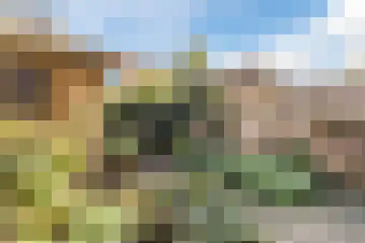 Makassarstraat 37 Utrecht thumbnail 14
