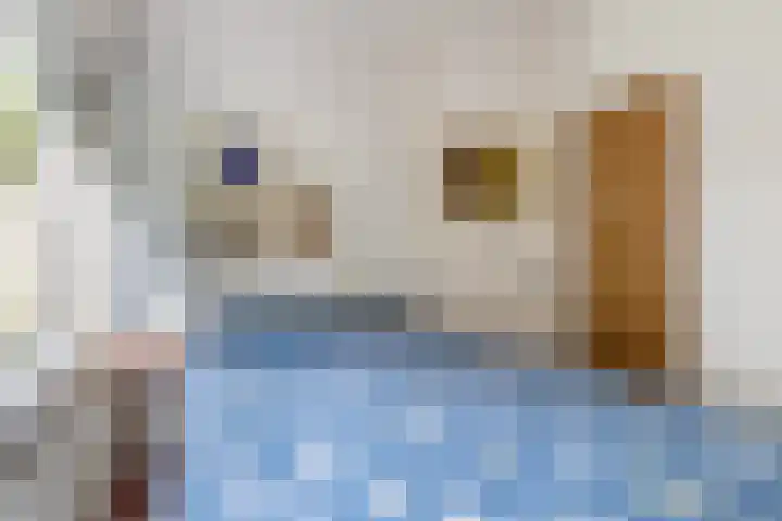 Makassarstraat 37 Utrecht thumbnail 29