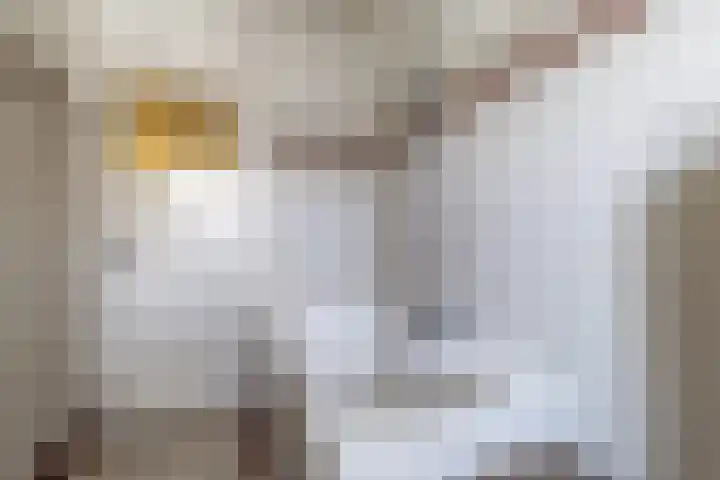 Makassarstraat 37 Utrecht thumbnail 36