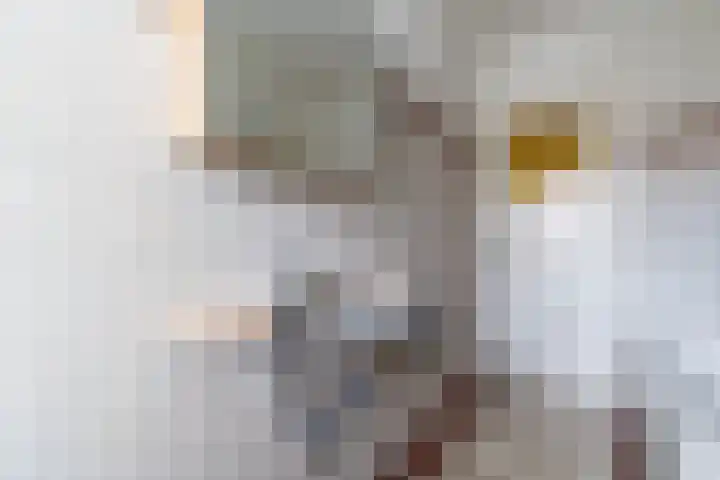 Makassarstraat 37 Utrecht thumbnail 37