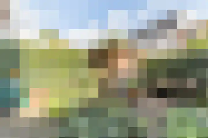 Makassarstraat 37 Utrecht thumbnail 4