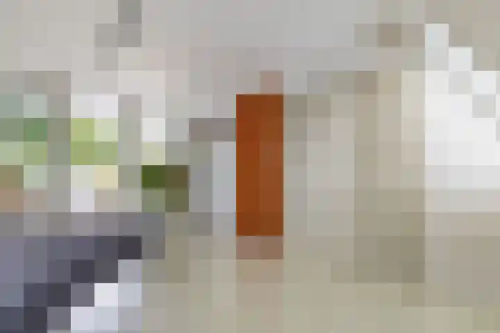 Makassarstraat 37 Utrecht thumbnail 41