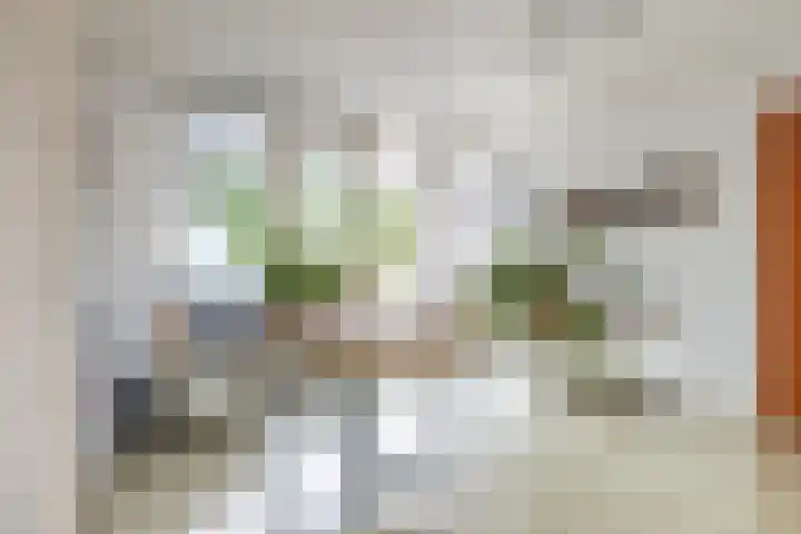 Makassarstraat 37 Utrecht thumbnail 42