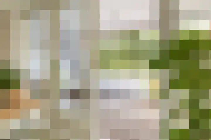 Makassarstraat 37 Utrecht thumbnail 43